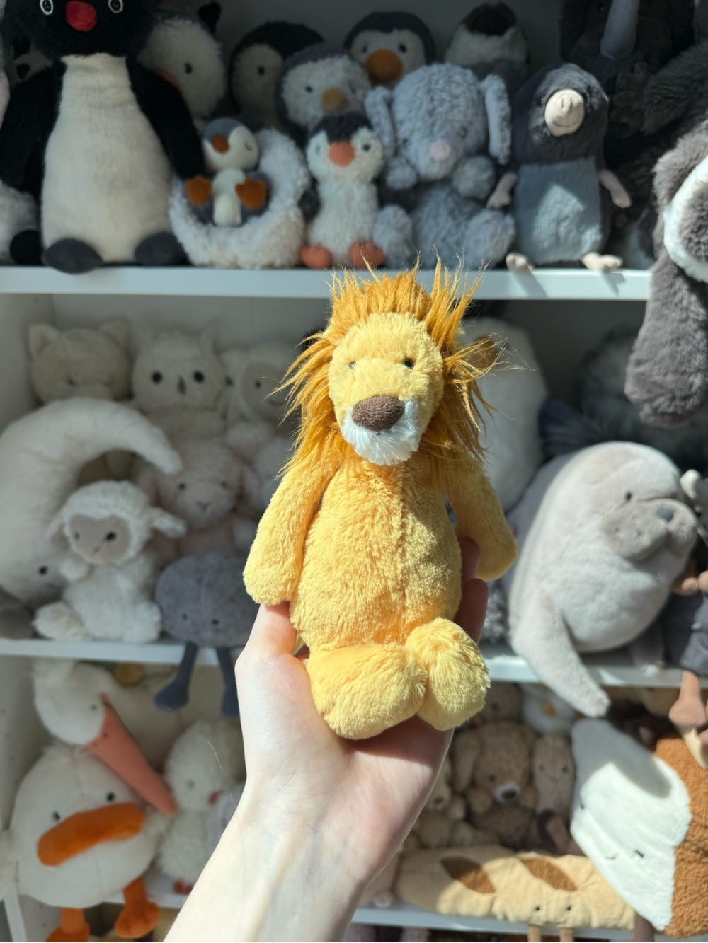 Jellycat Small Bashful Lion